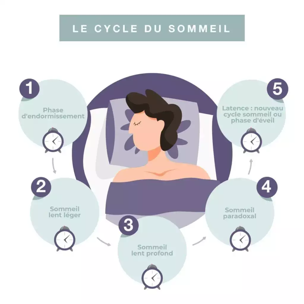 Cycle du sommeil avec phases REM, sommeil profond et réveils nocturnes